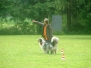 Zughunde beim VdH Hagenbach 01.05.2014