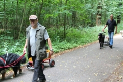 Zughunde_Oberwald_01_07_2017_01