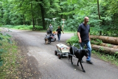 Zughunde_Oberwald_01_07_2017_05
