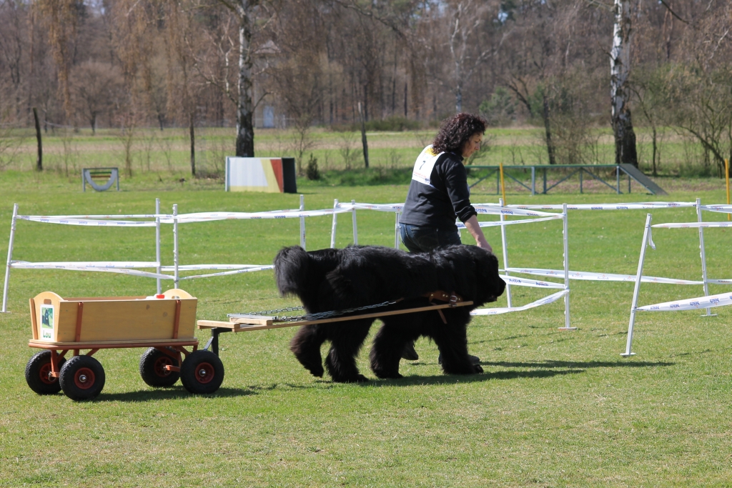 ZP_2013_04_14_30