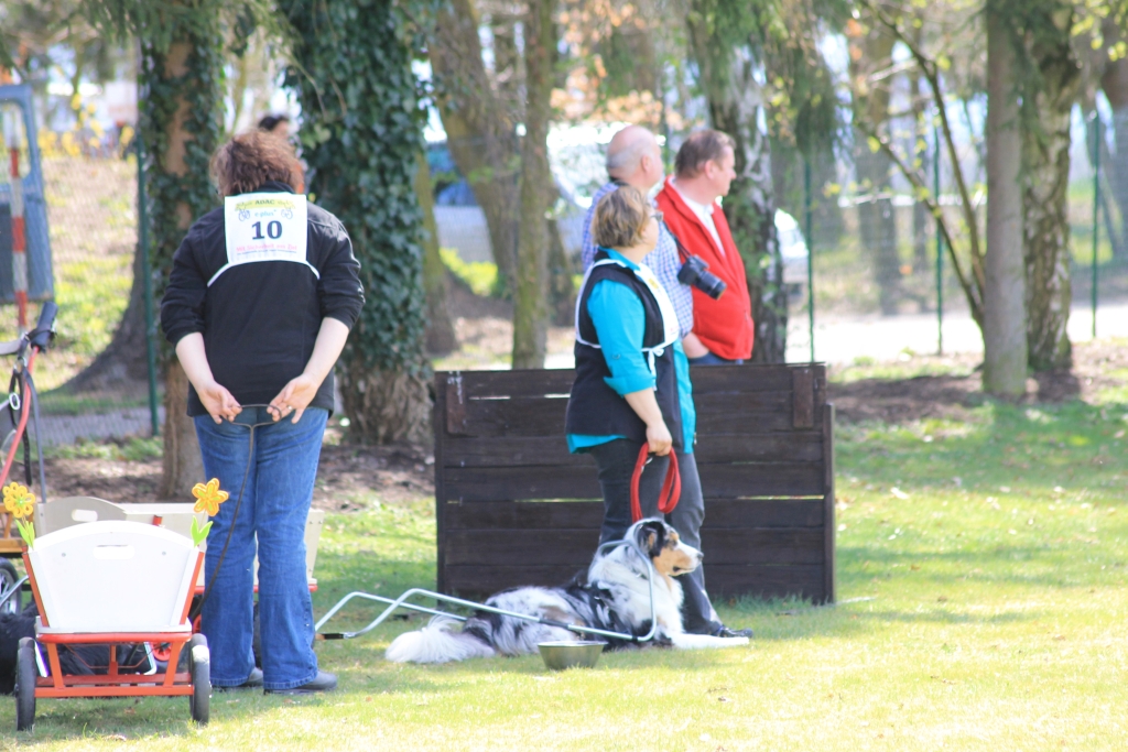 ZP_2013_04_14_34