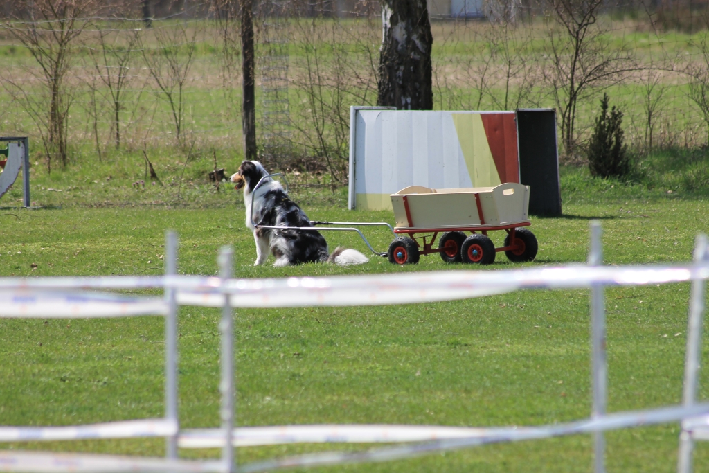ZP_2013_04_14_38