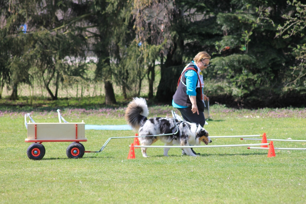 ZP_2013_04_14_43
