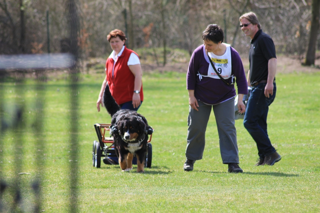 ZP_2013_04_14_50