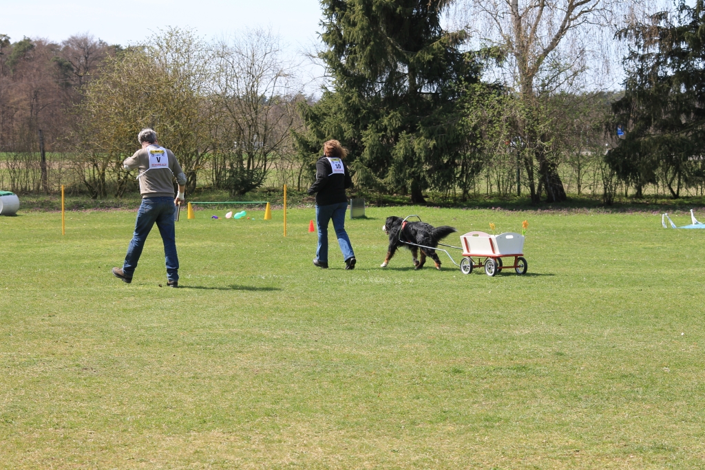 ZP_2013_04_14_59