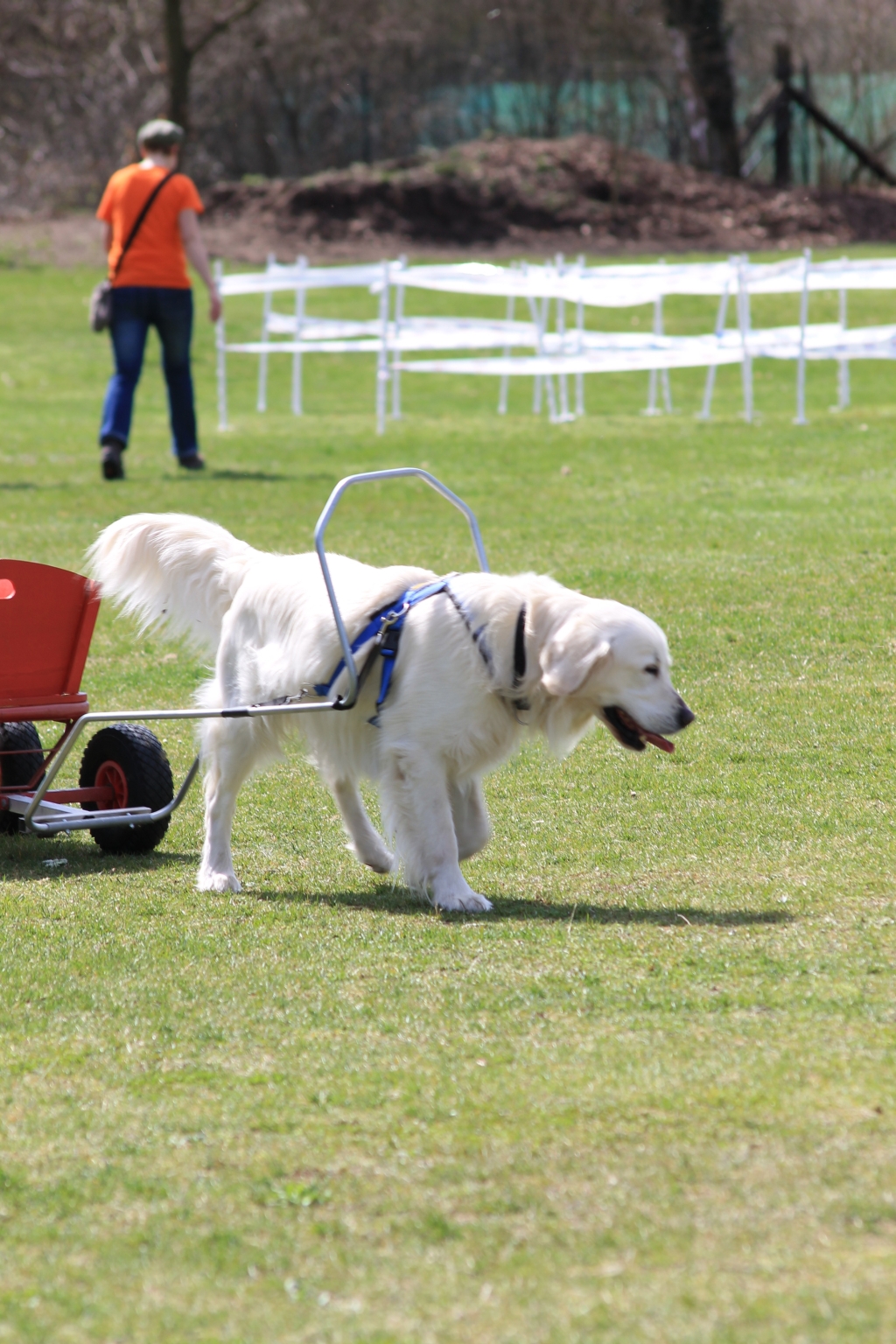 ZP_2013_04_14_72