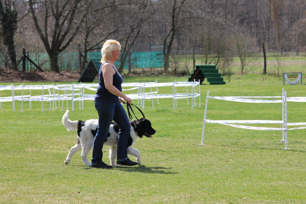 ZP_2013_04_14_80