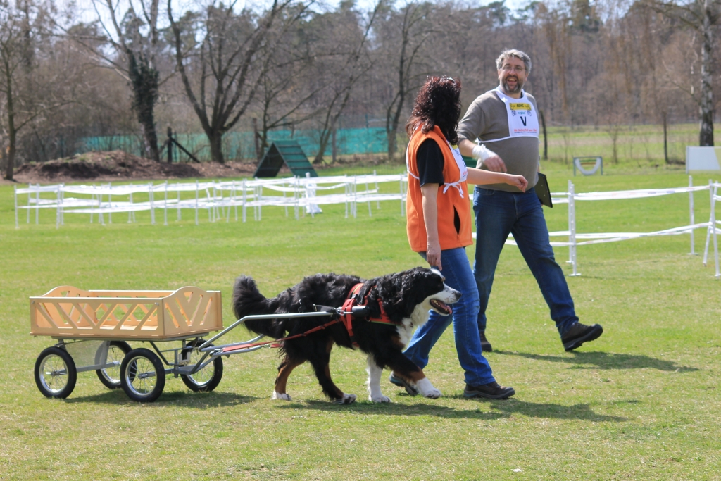 ZP_2013_04_14_83