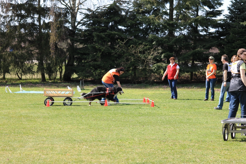ZP_2013_04_14_90