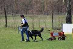 ZP_2013_04_14_19