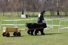 ZP_2013_04_14_30