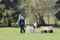 ZP_2013_04_14_37