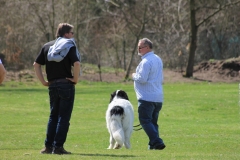 ZP_2013_04_14_39