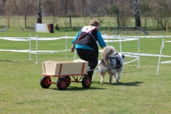 ZP_2013_04_14_41