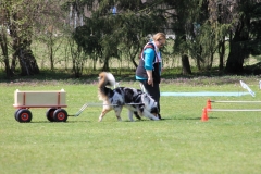ZP_2013_04_14_42