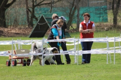 ZP_2013_04_14_44