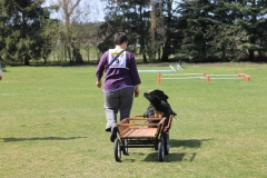 ZP_2013_04_14_48