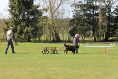 ZP_2013_04_14_51