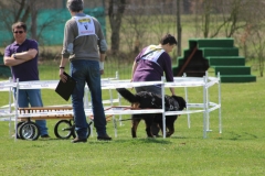 ZP_2013_04_14_52