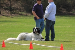 ZP_2013_04_14_53