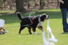 ZP_2013_04_14_54