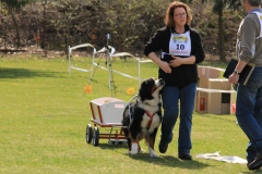 ZP_2013_04_14_55
