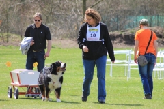 ZP_2013_04_14_60