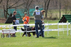 ZP_2013_04_14_63