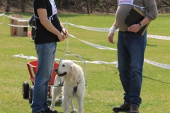 ZP_2013_04_14_66