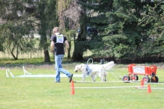 ZP_2013_04_14_70