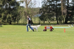 ZP_2013_04_14_74