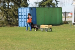 ZP_2013_04_14_76