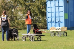 ZP_2013_04_14_78