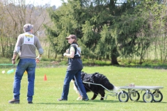 ZP_2013_04_14_84