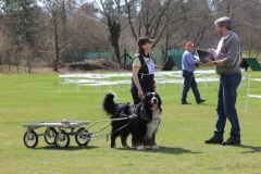 ZP_2013_04_14_86