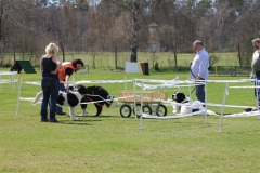 ZP_2013_04_14_89