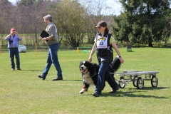 ZP_2013_04_14_91