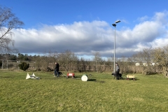 Zughund-05.02.2022-3