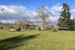 Zughund-05.02.2022-4