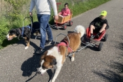 Bollerwagen_Kids