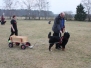 Zughundetraining März 2012